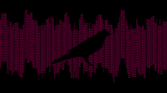 An Introduction to Kusama Governance