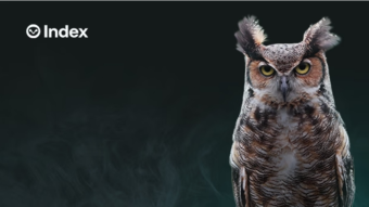 Two Years of Owl Business at Index Coop