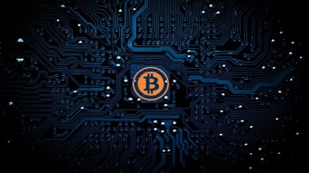 Go Through The Shocking Crypto Price Dump