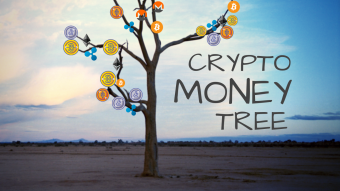 🌳 Plant Your Crypto Money Tree 🌳