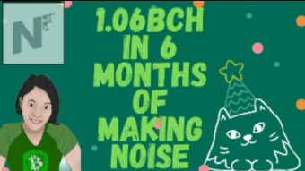 1.06BCH In 6 Months Of Making Noise