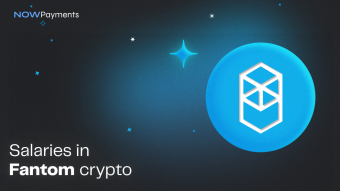 Salaries in Fantom crypto