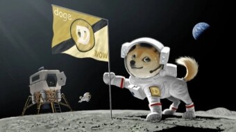 Dogecoin madness: "people's crypto" or scam of the century ?