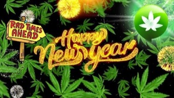 Happy New Year From This Canadian Smoke.io Witness - Share Your New Years #SmokeCryptoMinute With Us