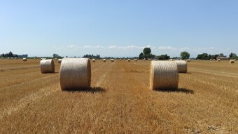 Countryside hiking - Walking in the bales field
