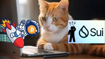 Trading Like A Pro - SUI: The Right Time To Buy?