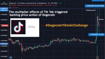 The multiplier effects of Tik Tok triggered barking price action of Dogecoin