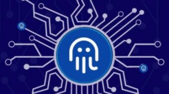 A $250 QUARTERLY BOUNTY, ALL YOU NEED TO KNOW TO SHARE FROM OCTOPUS $1M YEARLY GRANTS.