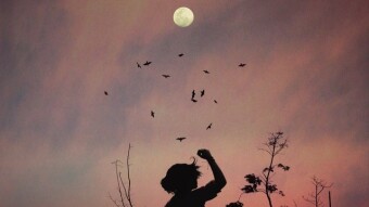 Poem: Another Typical Day