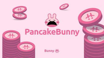 BSC Defi Pancake Bunny Dumps Over 80% From Flash Loan Attack