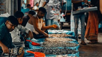 Challenges and solutions for democracy activism in South Asia