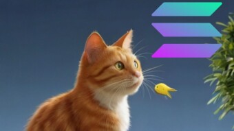 I Discovered Solana's "Speedy Boarding" Secret (and It Cost Me!) 🤯