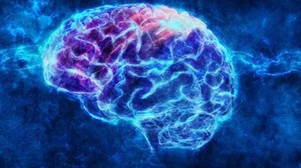 Creative Mind
