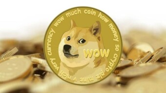 Dogecoin it's a important cryptocurrency to make money ? (yes, you must read)