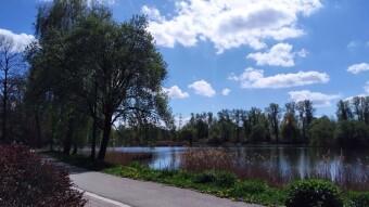 Beautiful spring scenery - My Actifit Report Card: April 19 2025