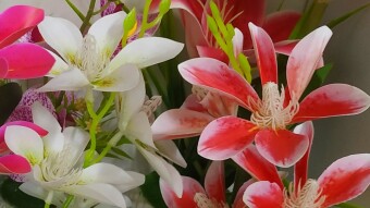 Artificial flower photography