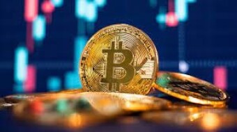 Websites and Apps to know for crypto newbies
