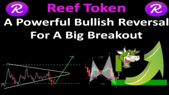 Reef Token | A Powerful Bullish Reversal For A Big Breakout