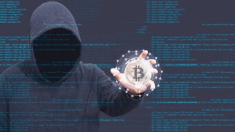 France: steals 182 bitcoins from the company that fired him, but..