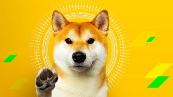 Stepping into the same river twice: Tesla to accept Dogecoin for payments