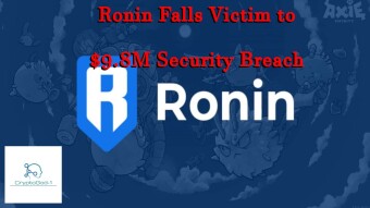 Ronin Falls Victim to $9.8M Security Breach