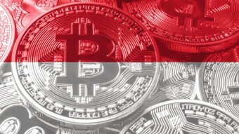 The Rise of National Bitcoin Reserves: Indonesia's Potential Pioneering Move