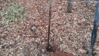 Apocalyptic Homesteading (Day 20)