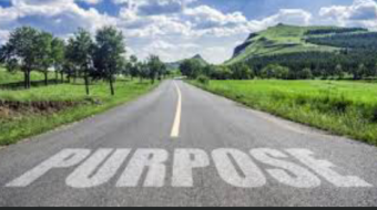 Purpose Plans And Pursuits