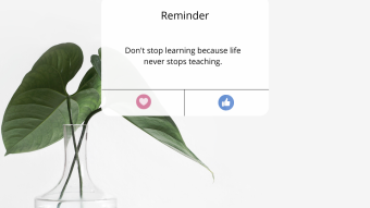 What is Growth Mindset and Why Is It Necessary?
