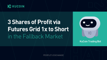 3 Shares of Profit via Futures Grid 1x to Short in the Fallback Market