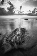 Baltic Tales