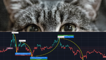 Monthly BTC options expire tomorrow: expected conseqences