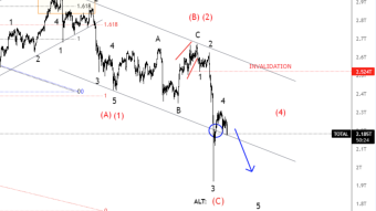 Bitcoin and Ripple Elliott Wave Analysis: Look To More Downside