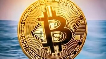 How to Swim with the Bitcoin Whales and Not Get Eaten Alive