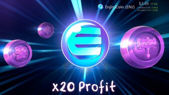 My First x20 Investment this Bull Run - Go Go ENJIN