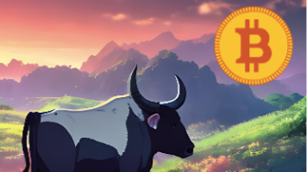 Bitcoin BullMarket is NOT here YET! Here's why
