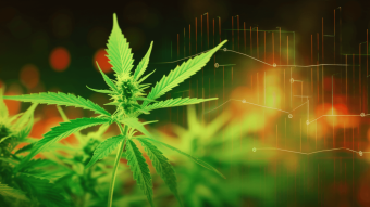 Move over, crypto. Cannabis is the new cool kid in the block