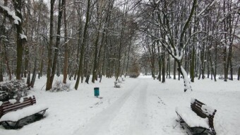 It's winter, not much has changed, except maybe the distance - My Actifit Report Card: December 9 2023