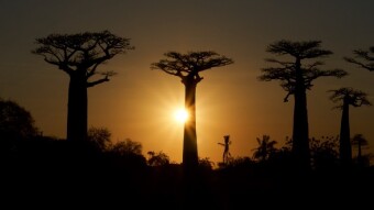 Top 10 Property Management Companies in Africa
