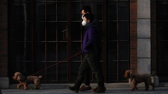 When, and How, Humanity Will Exit The COVID-19 Pandemic
