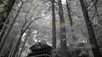 Cabin in the woods on the lake - Infrared Photography