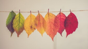 Season Changes in a Cycle