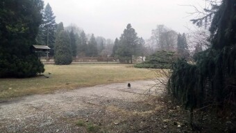 Today it's a bit like autumn, but warm, pleasant and optimistic - My Actifit Report Card: February 26, 2025