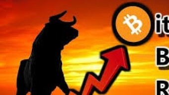 ALT coin market update bull run or alt dead