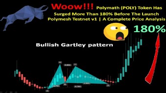 Woow!!! Polymath (POLY) Token Has Surged More Than 180% Before The Launch Polymesh Testnet v1 | A Complete Price Analysis