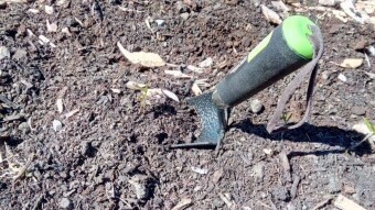 Our Vegetable Plots #6