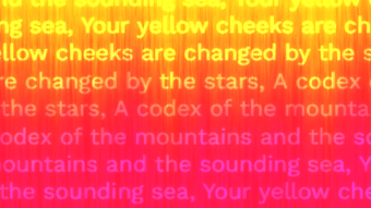 Codex 1
