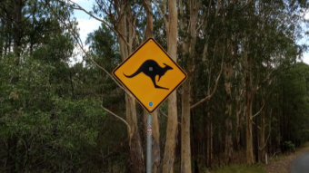 Australia 2020 Glass House Mountains (1.12)