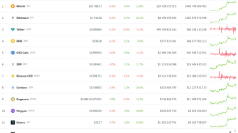 Bitcoin has risen by 28% since the beginning of the year: reasons