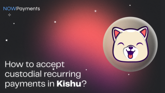 How to Accept Custodial Recurring Payments in KISHU